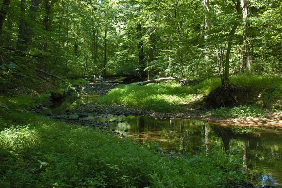 2 - By July 2010  the water level was much lower